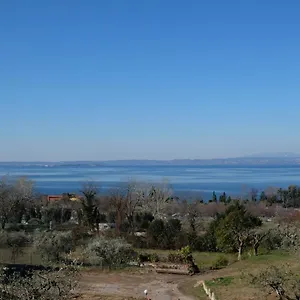 Bellini , Bardolino Italië