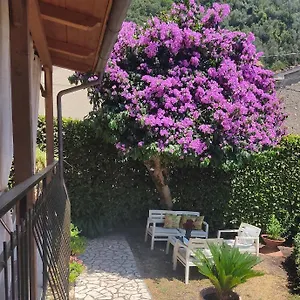 La Bouganville E Il Gelsomino , Pietrasanta Italië